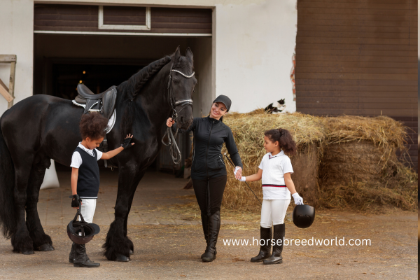 Arabian horse breeding farms